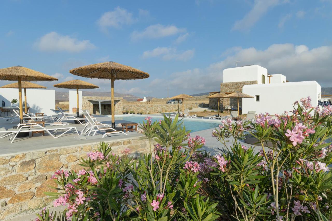 Hotel Alirene Mykonos Panormos  Esterno foto